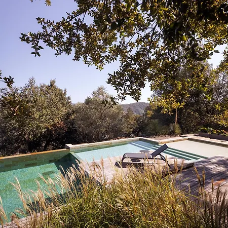 Architect's Luxury With Pool *
